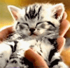 17875.gif