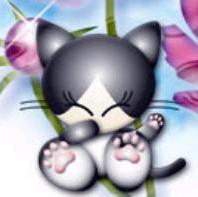 kitty.jpg